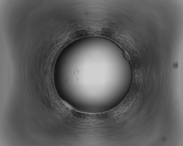 X0000098091057200804041215