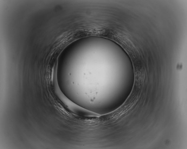 X0000098091058200804041215