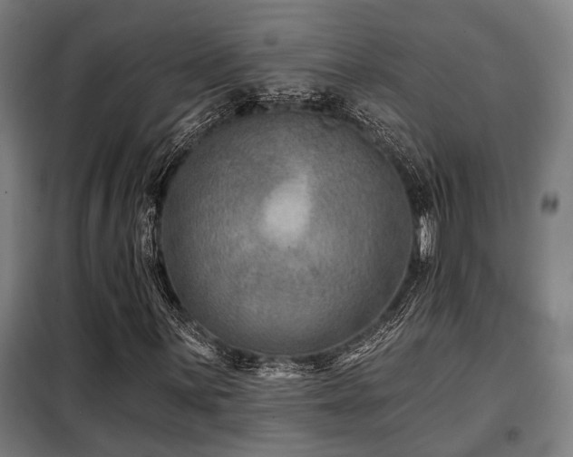 X0000098091059200804041215
