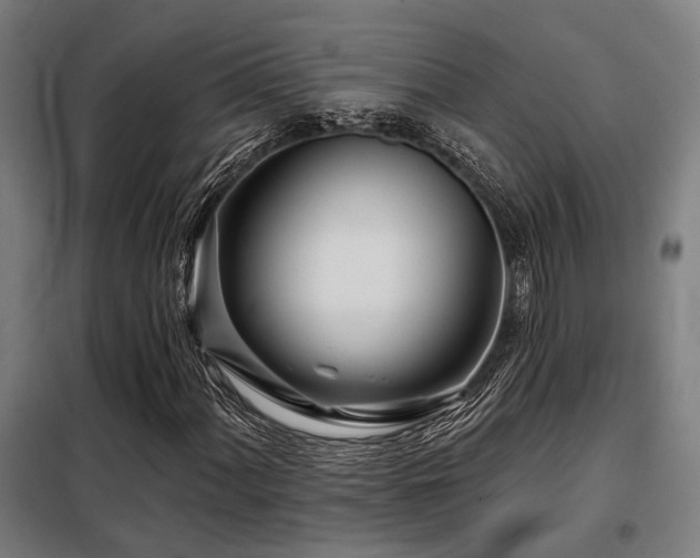 X0000098091060200804041215