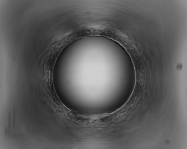 X0000098091061200804041215