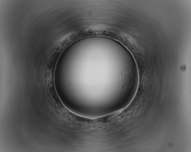 X0000098091062200804041214