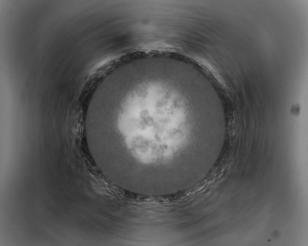 X0000098091063200804041214