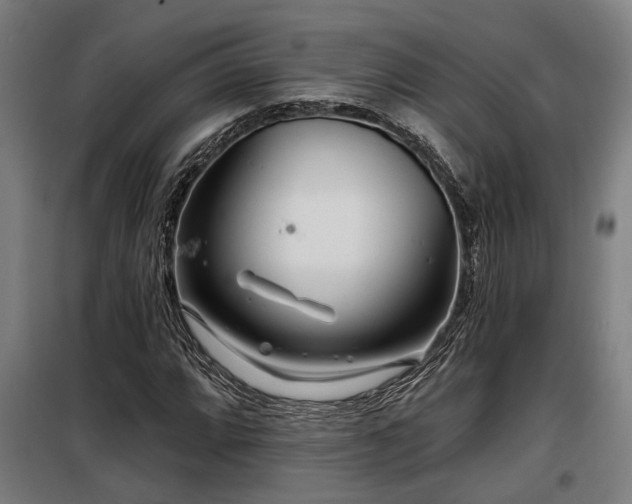 X0000098091064200804041214