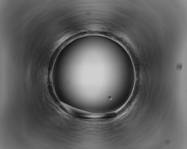 X0000098091065200804041214