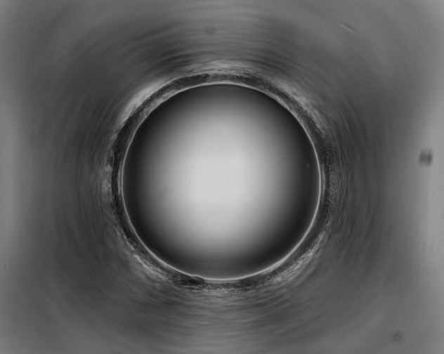 X0000098091066200804041214