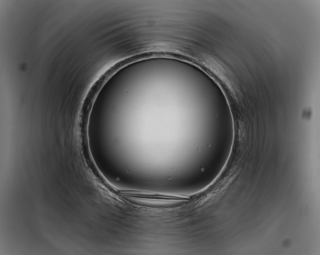 X0000098091068200804041214