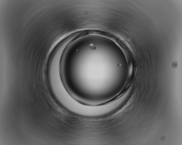 X0000098091069200804041214