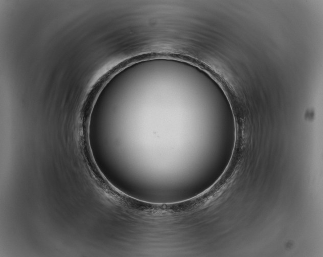 X0000098091070200804041214