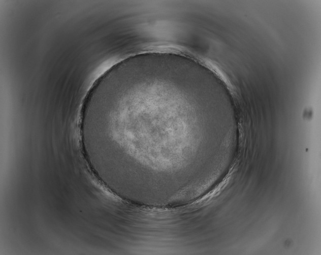 X0000098091071200804041214