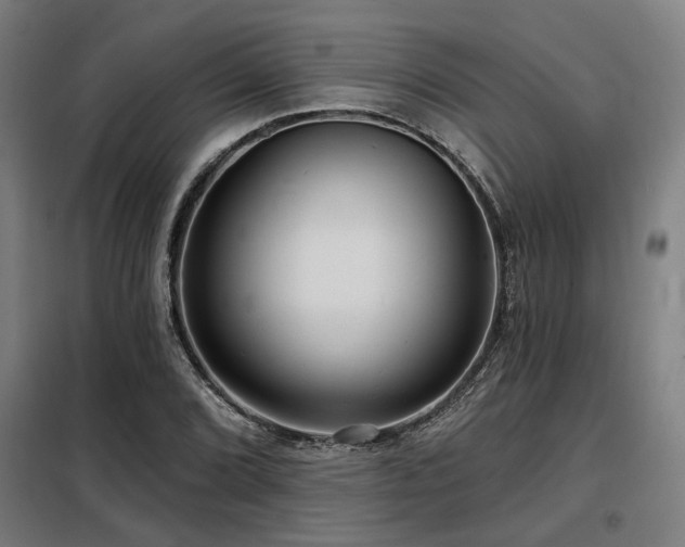 X0000098091072200804041214