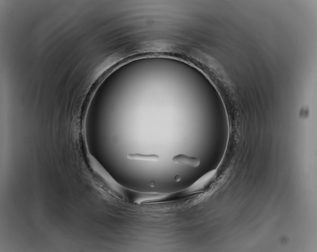 X0000098091073200804041214