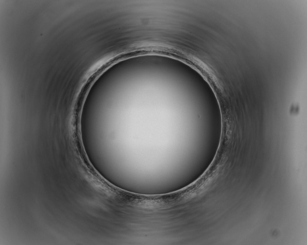 X0000098091074200804041214