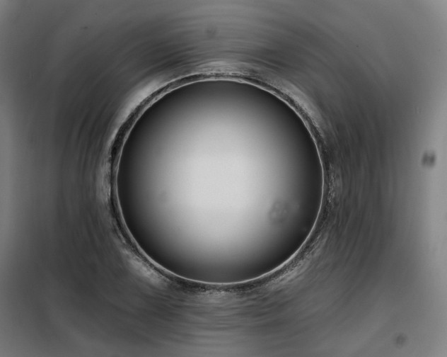 X0000098091075200804041214