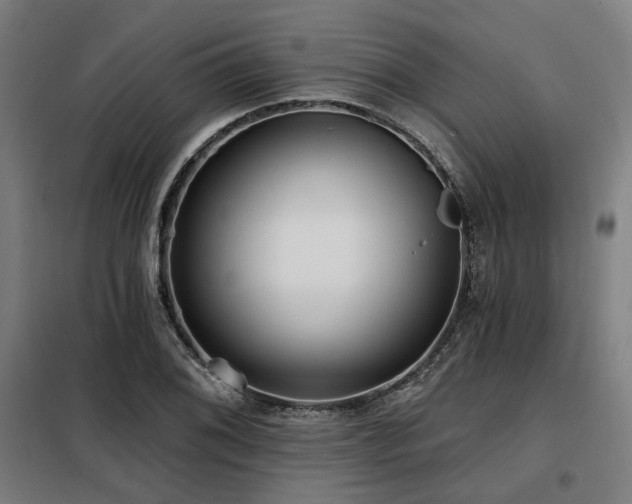 X0000098091076200804041214