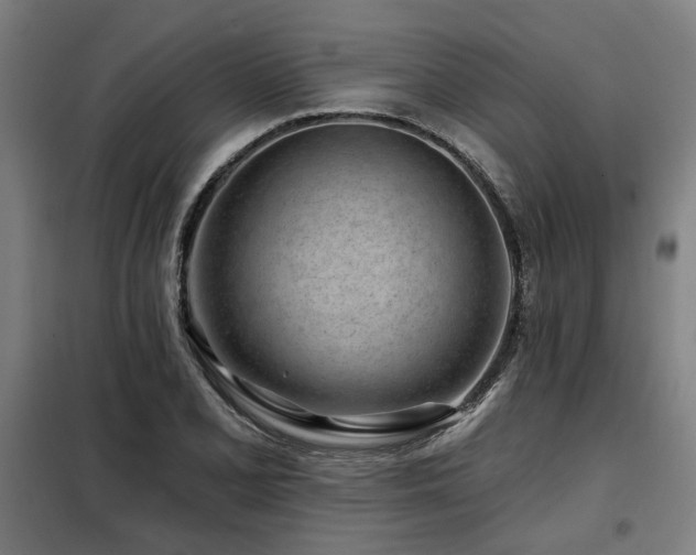 X0000098091077200804041214