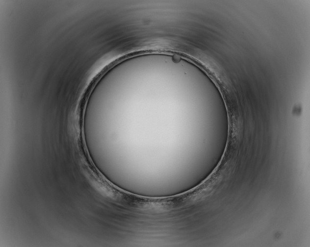 X0000098091078200804041214