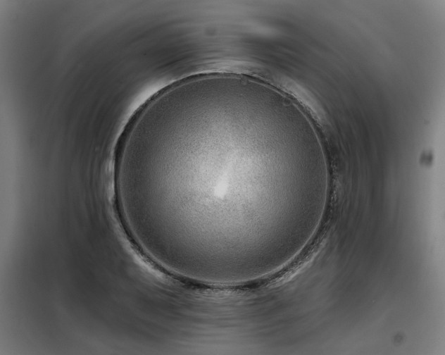 X0000098091079200804041214