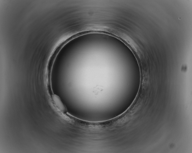 X0000098091080200804041214