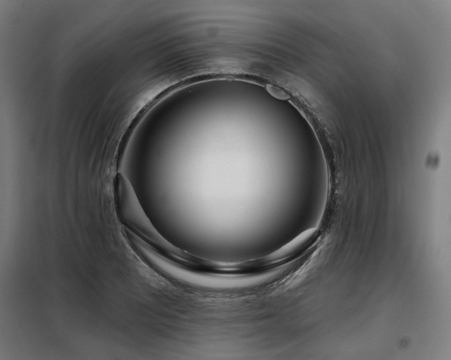 X0000098091081200804041214