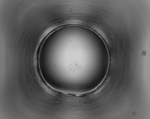 X0000098091082200804041214