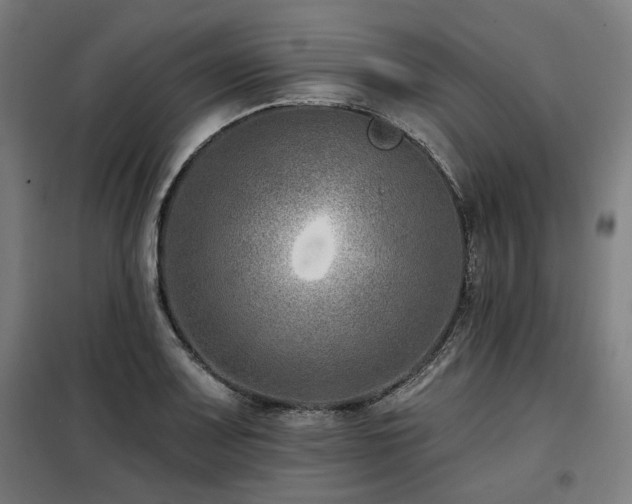 X0000098091083200804041214