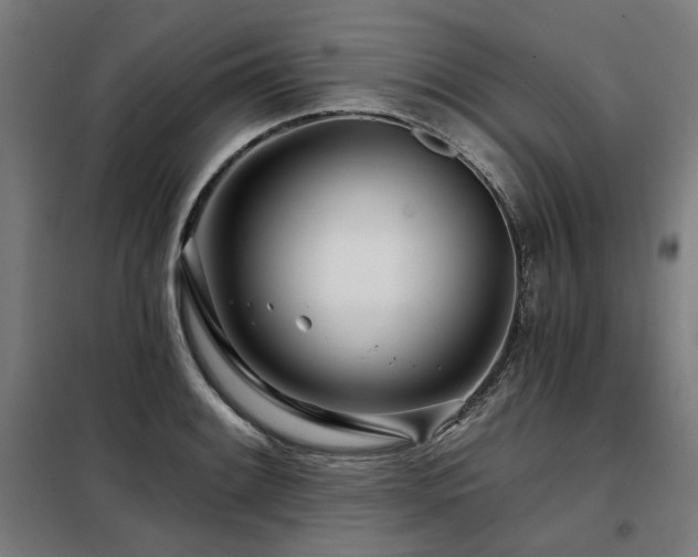 X0000098091084200804041214