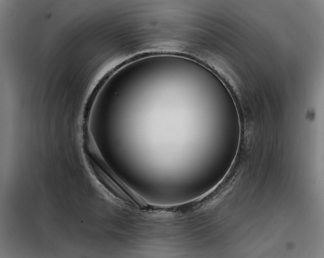 X0000098091085200804041214