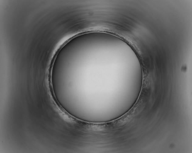X0000098091086200804041214