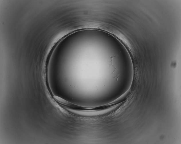 X0000098091088200804041214