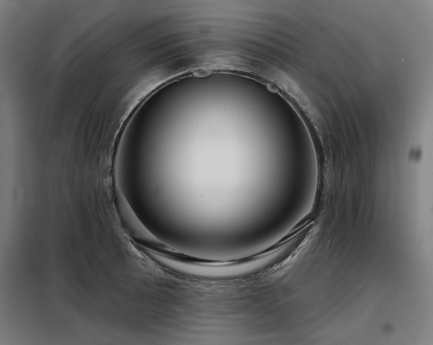 X0000098091089200804041214
