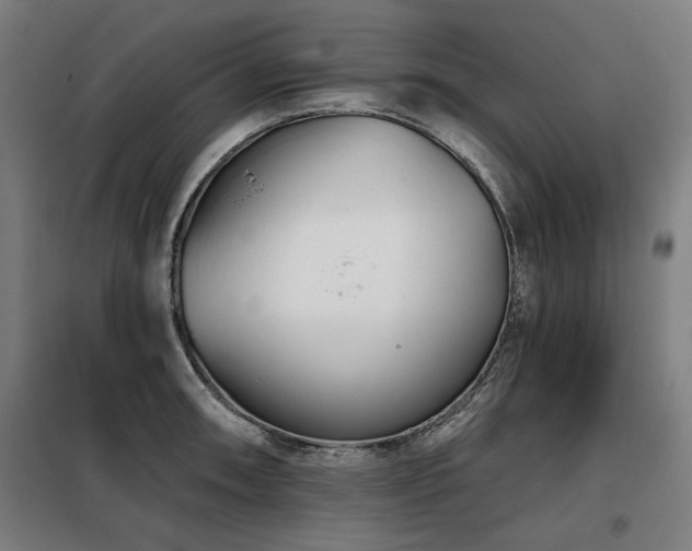 X0000098091090200804041214