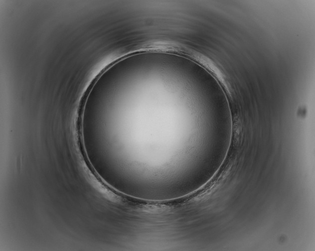 X0000098091091200804041214