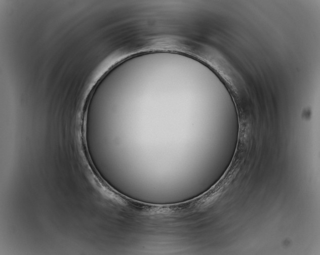 X0000098091094200804041214