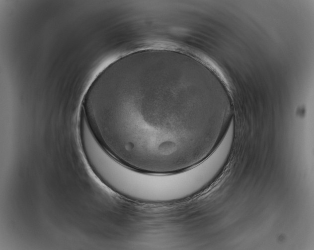 X0000098091095200804041214