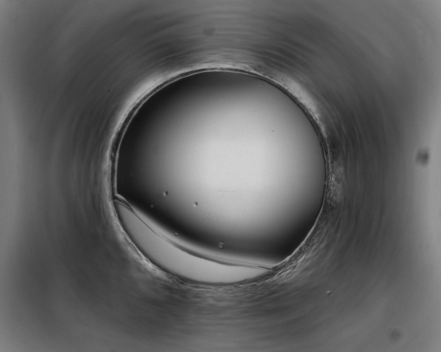 X0000098091096200804041214