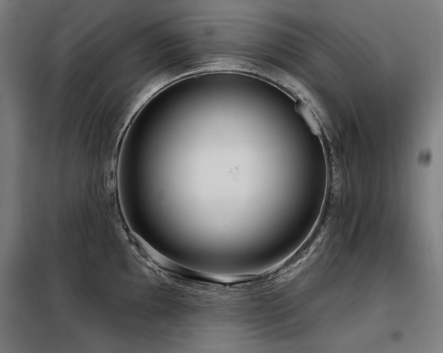 X0000098091097200804041214
