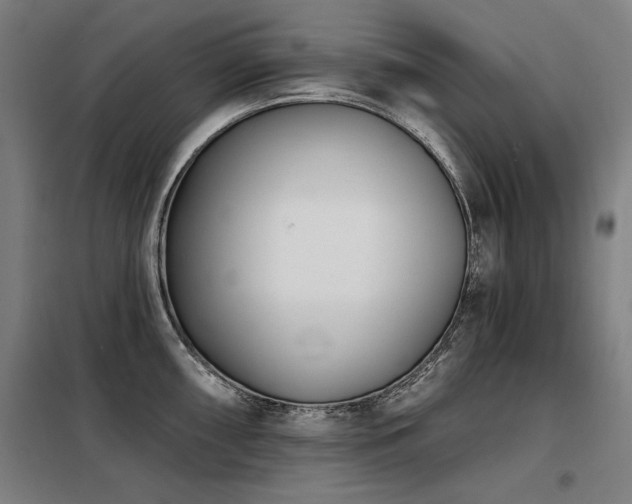 X0000098091098200804041214