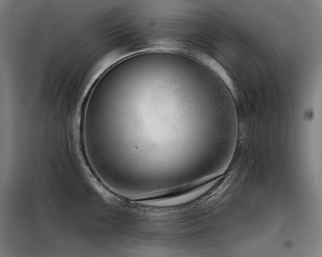 X0000098091099200804041214