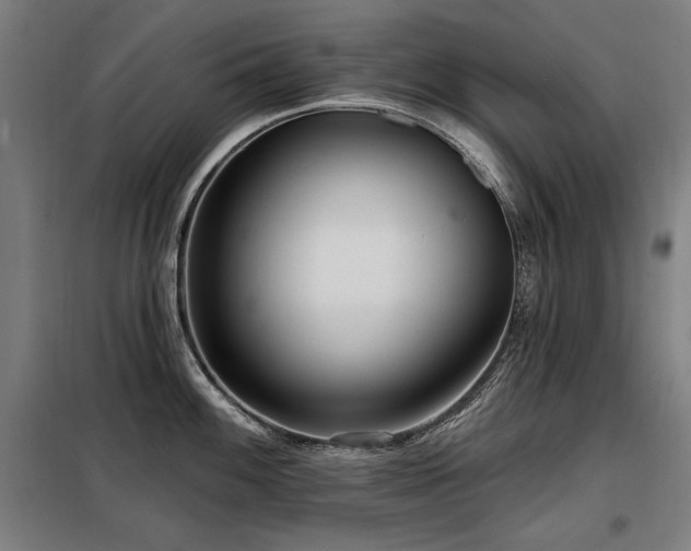 X0000098091100200804041214