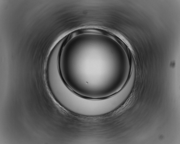 X0000098091101200804041214