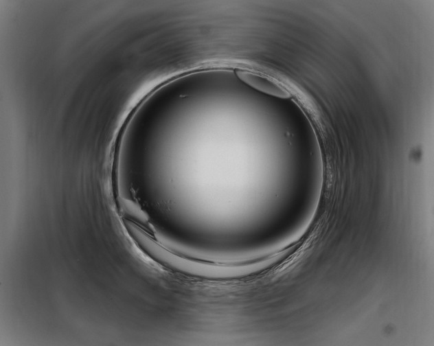 X0000098091102200804041214