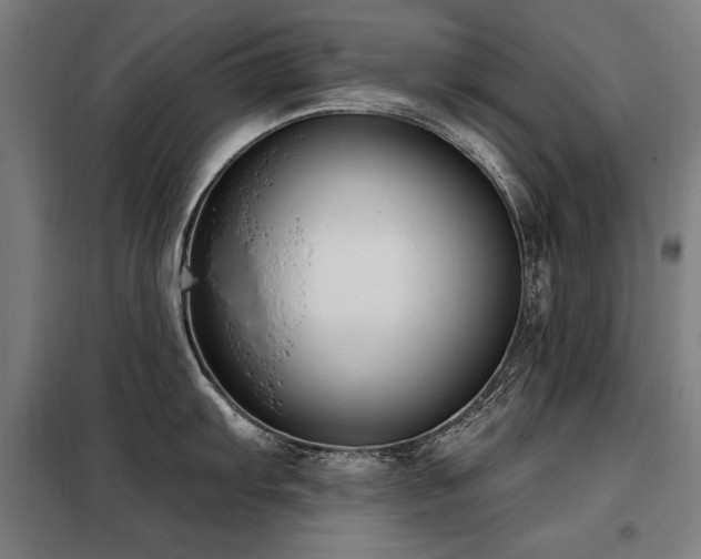 X0000098091103200804041214
