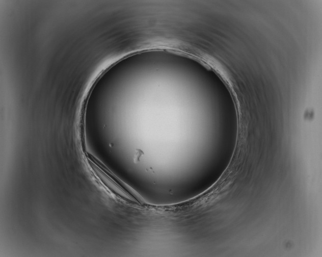 X0000098091104200804041214