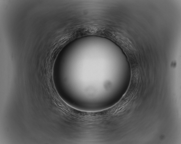 X0000098091105200804041213