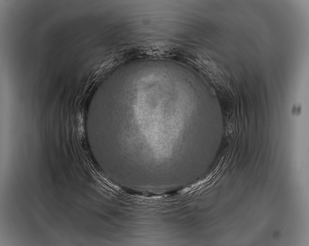 X0000098091106200804041213