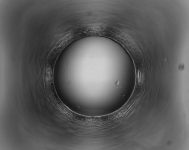 X0000098091107200804041213