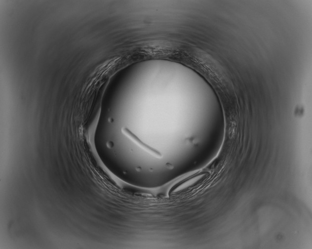 X0000098091108200804041213
