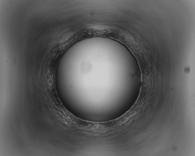 X0000098091109200804041213
