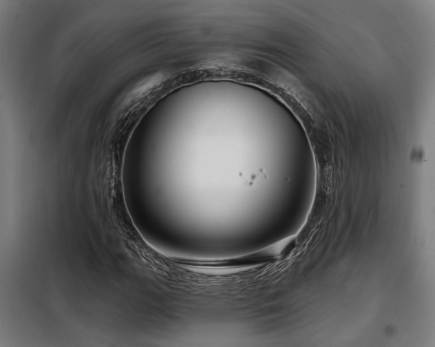 X0000098091111200804041213
